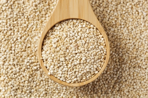 Quinoa Seeds Organic Superfood Bulk Supplier Export