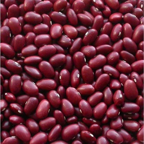 Rajma Export Supplier UAE Buyers