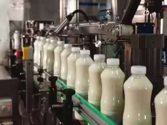 Ready To Export Dairy Beverages