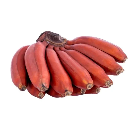 Red Banana Supplier Premium Quality Bulk Export