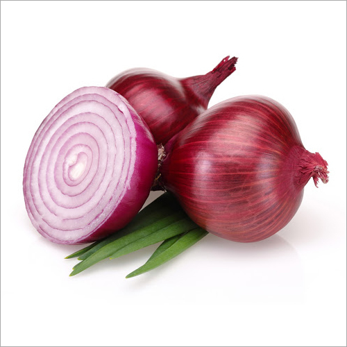 Red Onion Exporter 45mm Plus Grade A Middle East Bulk