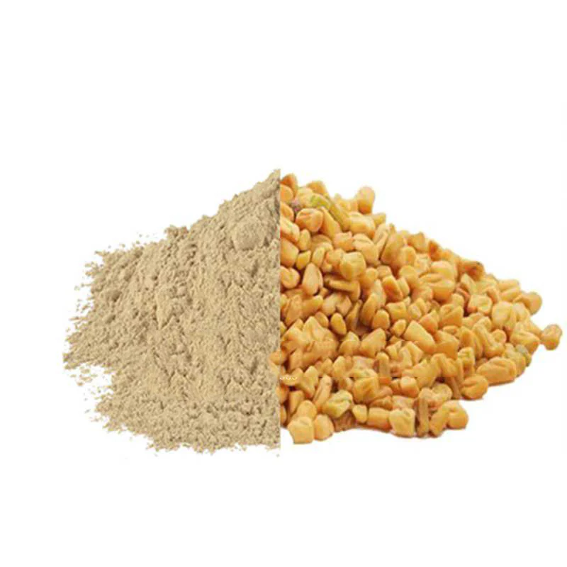 Roasted Fenugreek Powder Supplier