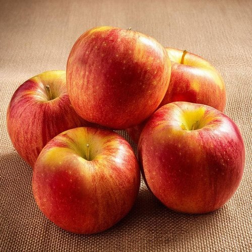 Royal Gala Apple Exporter 80mm Grade A Europe Supply