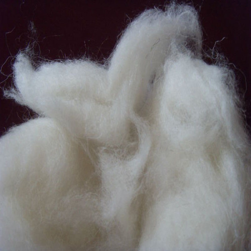 Scoured Wool Cleaned Fiber Textile Grade Bulk Supplier Export