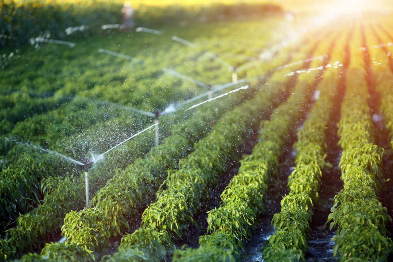 Sprinkler Irrigation Systems Manufacturer & Exporter from India