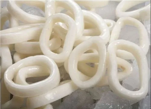 Squid Tubes Rings IQF 20 Percent Glaze Export Supplier
